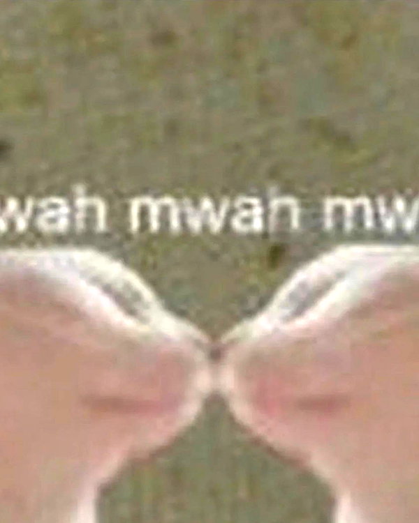 lyracr0w0 instagram image archive image