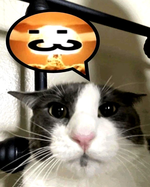 lyracr0w0 instagram image archive image