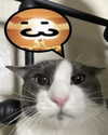 lyracr0w0 Altpins Profile Picture