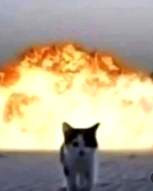 lyracr0w0 instagram image archive image