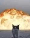 lyracr0w0 Altpins Profile Picture