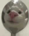 lyracr0w0 Altpins Profile Picture