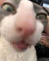 lyracr0w0 Altpins Profile Picture