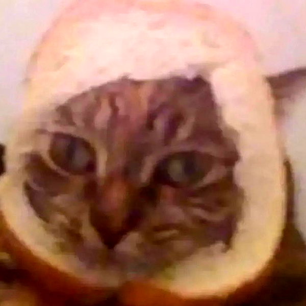 lyracr0w0 instagram image archive image