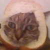 lyracr0w0 Altpins Profile Picture