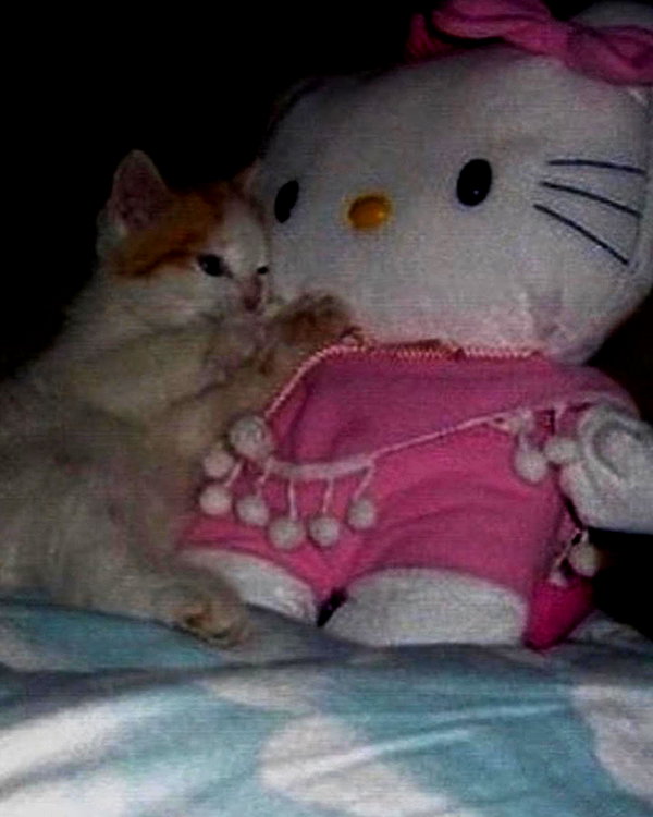 lyracr0w0 instagram image archive image