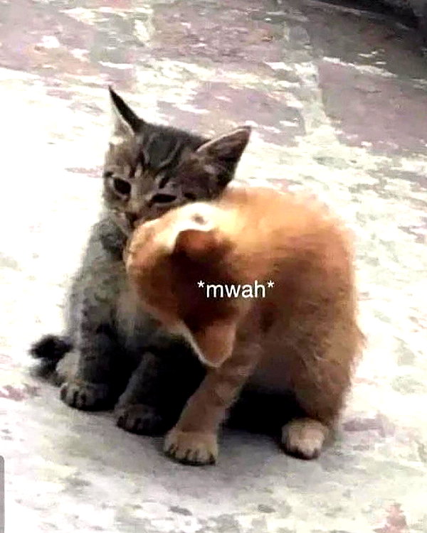 lyracr0w0 instagram image archive image