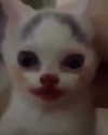 lyracr0w0 Altpins Profile Picture