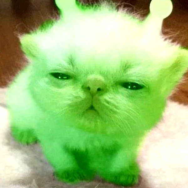 lyracr0w0 instagram image archive image