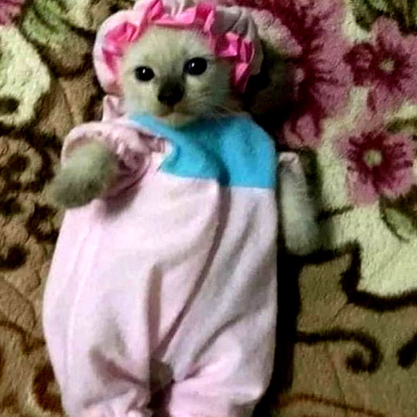 lyracr0w0 instagram image archive image