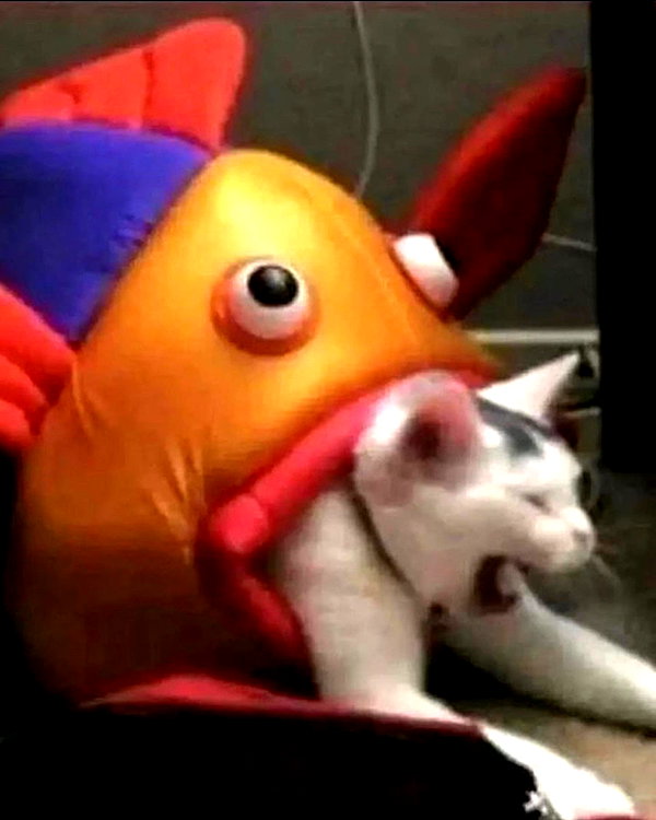 lyracr0w0 instagram image archive image