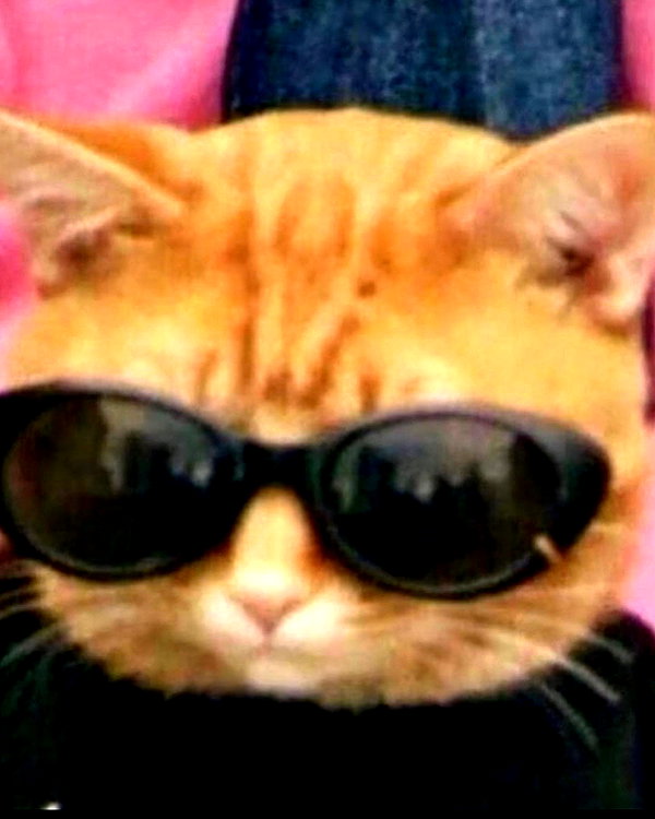lyracr0w0 instagram image archive image