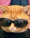lyracr0w0 Altpins Profile Picture