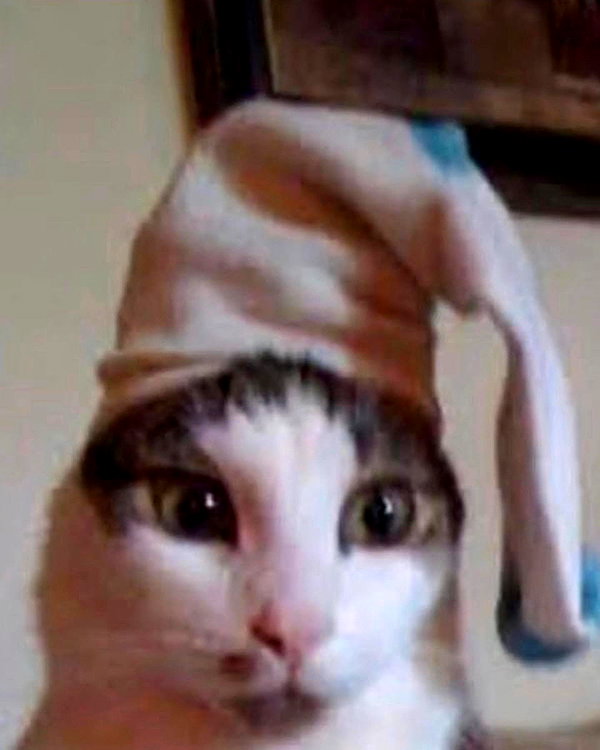 lyracr0w0 instagram image archive image