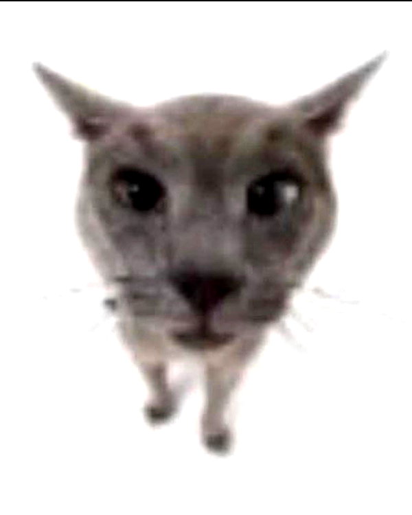 lyracr0w0 instagram image archive image