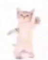 lyracr0w0 Altpins Profile Picture