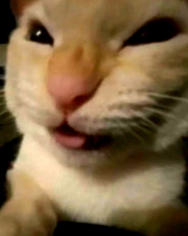 lyracr0w0 instagram image archive image