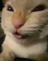 lyracr0w0 Altpins Profile Picture