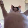 lyracr0w0 Altpins Profile Picture
