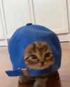 lyracr0w0 Altpins Profile Picture