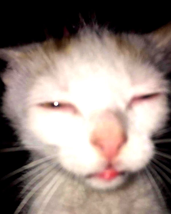 lyracr0w0 instagram image archive image