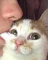 lyracr0w0 Altpins Profile Picture