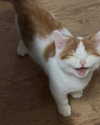 lyracr0w0 Altpins Profile Picture