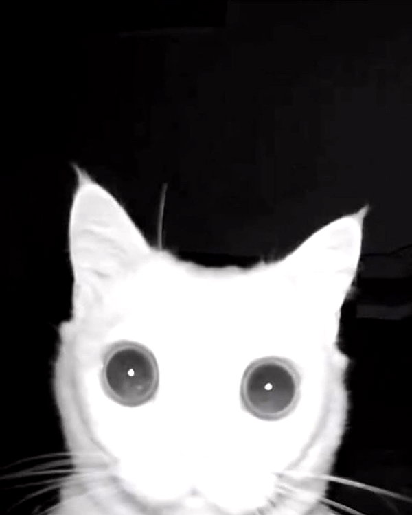 lyracr0w0 instagram image archive image
