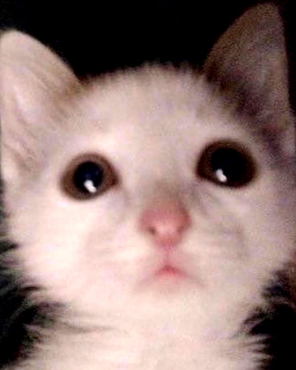 lyracr0w0 instagram image archive image