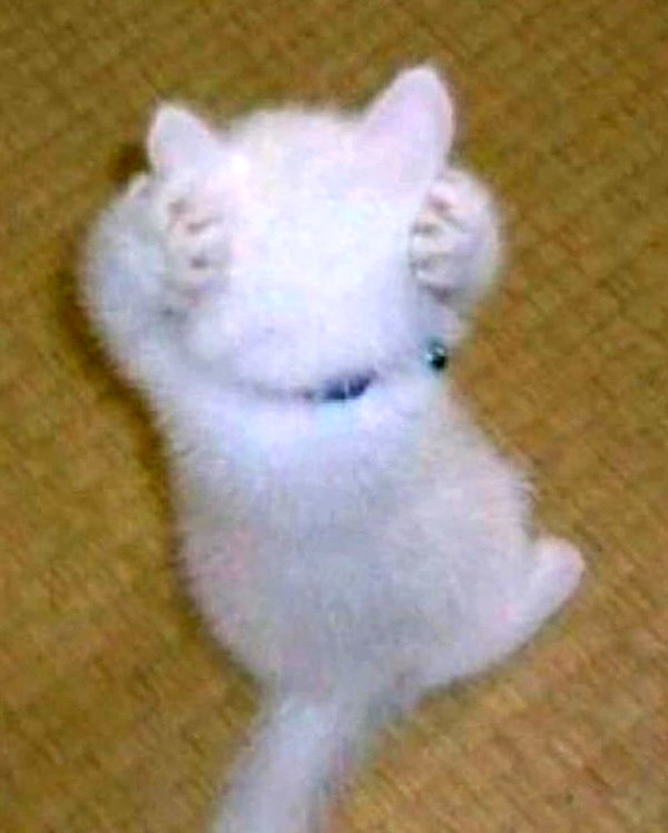 lyracr0w0 instagram image archive image