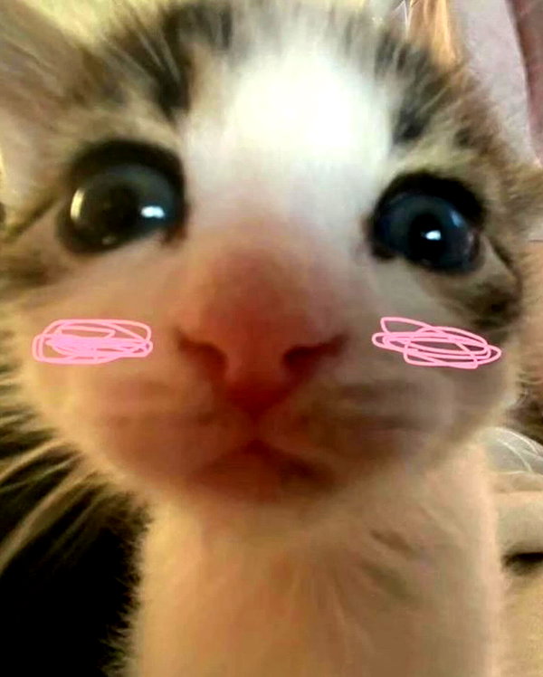 lyracr0w0 instagram image archive image
