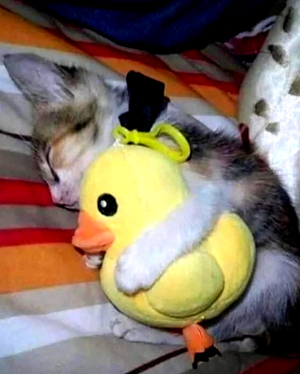 lyracr0w0 instagram image archive image