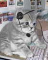 lyracr0w0 Altpins Profile Picture