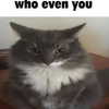 lyracr0w0 Altpins Profile Picture