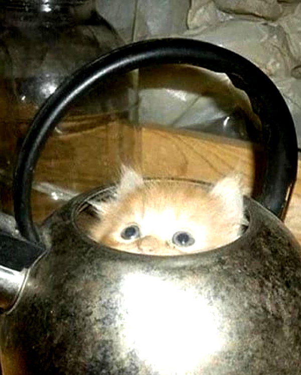 lyracr0w0 instagram image archive image