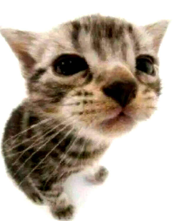 lyracr0w0 instagram image archive image