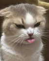 lyracr0w0 Altpins Profile Picture