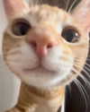 lyracr0w0 Altpins Profile Picture