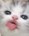 lyracr0w0 Altpins Profile Picture