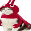 lyracr0w0 Altpins Profile Picture