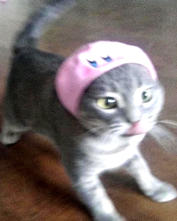 lyracr0w0 instagram image archive image
