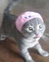 lyracr0w0 Altpins Profile Picture