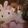 lyracr0w0 Altpins Profile Picture