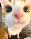 lyracr0w0 Altpins Profile Picture