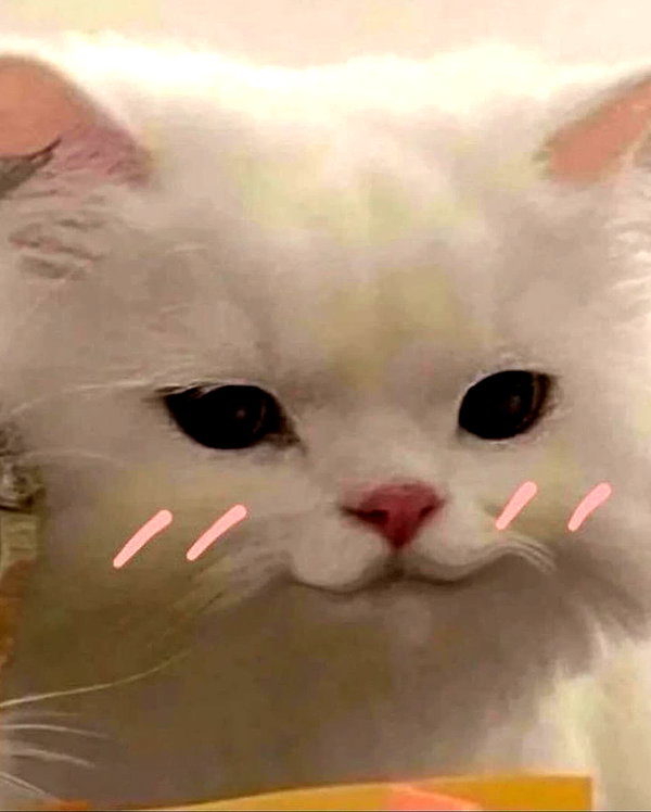 lyracr0w0 instagram image archive image