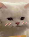 lyracr0w0 Altpins Profile Picture