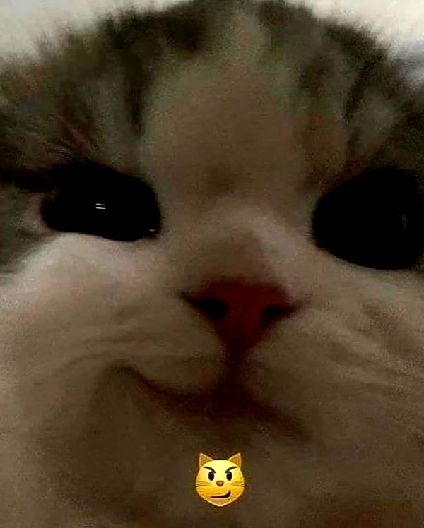 lyracr0w0 instagram image archive image