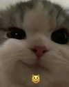 lyracr0w0 Altpins Profile Picture