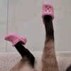 lyracr0w0 Altpins Profile Picture