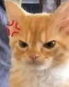 lyracr0w0 Altpins Profile Picture